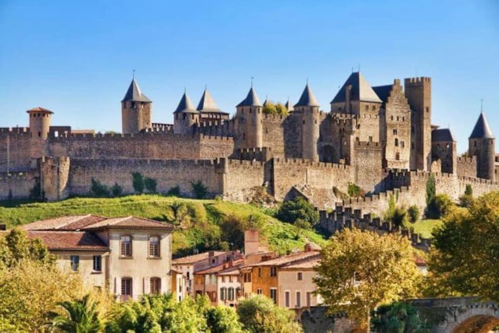 Apartmán Dame Carcas Carcassonne Exteriér fotografie
